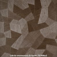  c arte monsoon2.0 faceta2