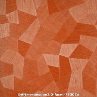  c arte monsoon2.0 faceta