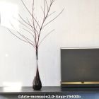  c arte monsoon2.0 itayab