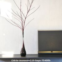  c arte monsoon2.0 itayab