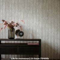  c arte monsoon2.0 itayab