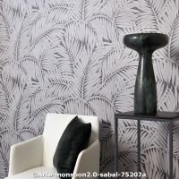  c arte monsoon2.0 sabala